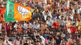 BMC Election 2026 : भाजपने निवडणूक लढवली असती तर...; शिंदे गटानंतर आता भाजपनेही व्यक्ती केली नाराजी