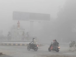 Rajasthan Winter: राजस्थान में हाड़ कंपाने वाली ठंड ने बढ़ाई मुश्किलें, स्कूलों की बढ़ी छुट्टियां, 16 जिलों में जारी डबल अलर्ट