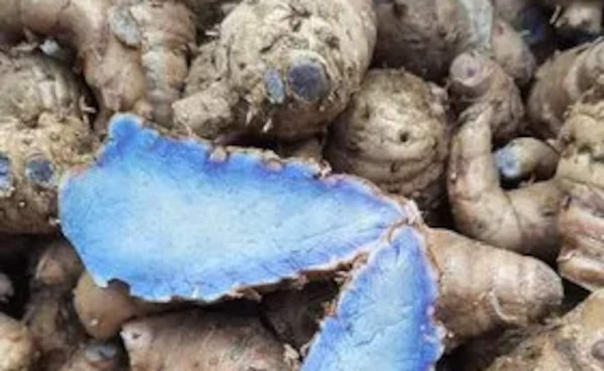 Is Drinking Kali Haldi Or Black Turmeric Tea Beneficial For Joint Pain?