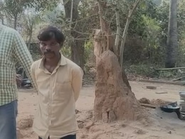 ओडिशा में जादू-टोने के शक में कलयुगी बेटे ने मां को उतारा मौत के घाट, चाकू उठाया और घोंप दिया