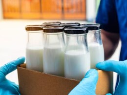 Milk Myths: डॉक्टर ने किया दूध का दूध और पानी का पानी! टूटेंगे सारे भ्रम, जानिए क्या सही है और क्या गलत