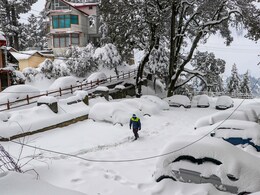 Mumbai News: शिमल्याला फिरायला जाणं जीवावर बेतू शकतं! मुंबईतील महिलेसोबत काय घडलं?