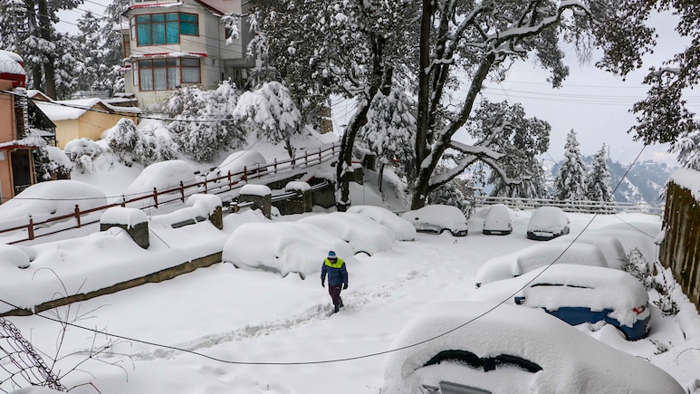 Mumbai News: शिमल्याला फिरायला जाणं जीवावर बेतू शकतं! मुंबईतील महिलेसोबत काय घडलं?