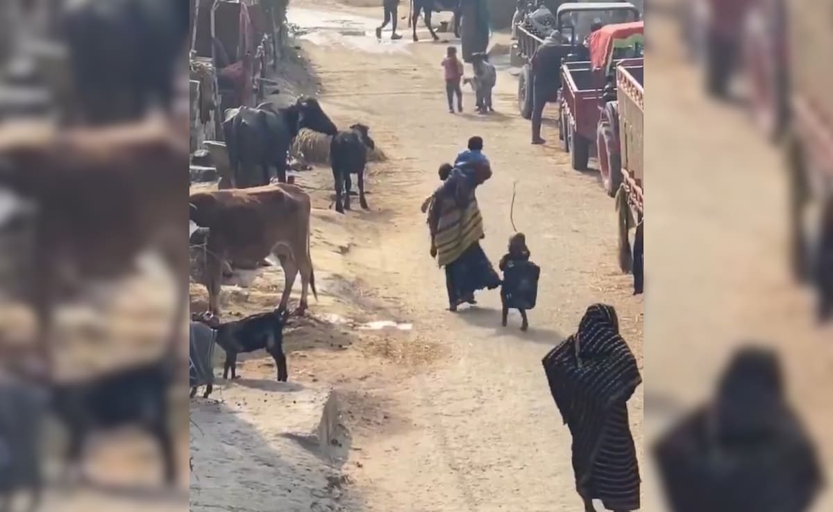 Latest and Breaking News on NDTV