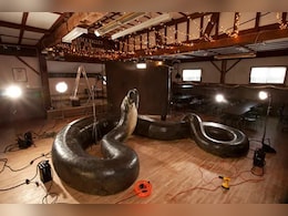 डायनासोर के बाद धरती पर था इस विशालकाय जीव का राज, मचाया था खूब आतंक