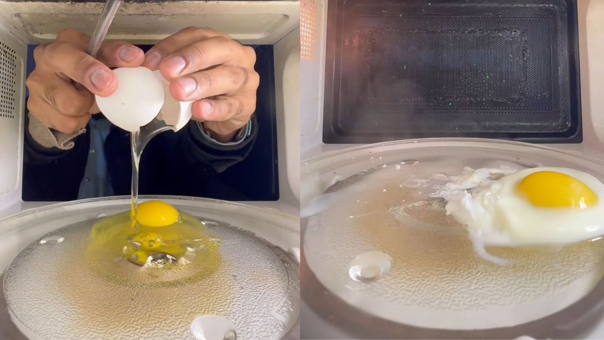This Bizarre 'Egg Inside Microwave' Experiment Has Over 15 Million Views