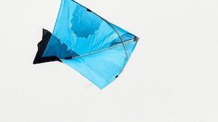 मकर संक्रांति पर पतंगबाजी का जानें धार्मिक और सांस्कृतिक के साथ वैज्ञानिक महत्व? चीनी मांझे से कर लें तौबा