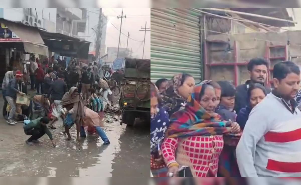 13-Year-Old Dies in Bihar Road Accident as Bystanders Collect Fish from Truck