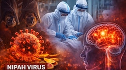 बंगाल में निपाह वायरस से 5 लोग संक्रमित, क्या है यह खतरनाक बीमारी, कैसे फैलती है और इसके लक्षण क्या हैं? जानिए