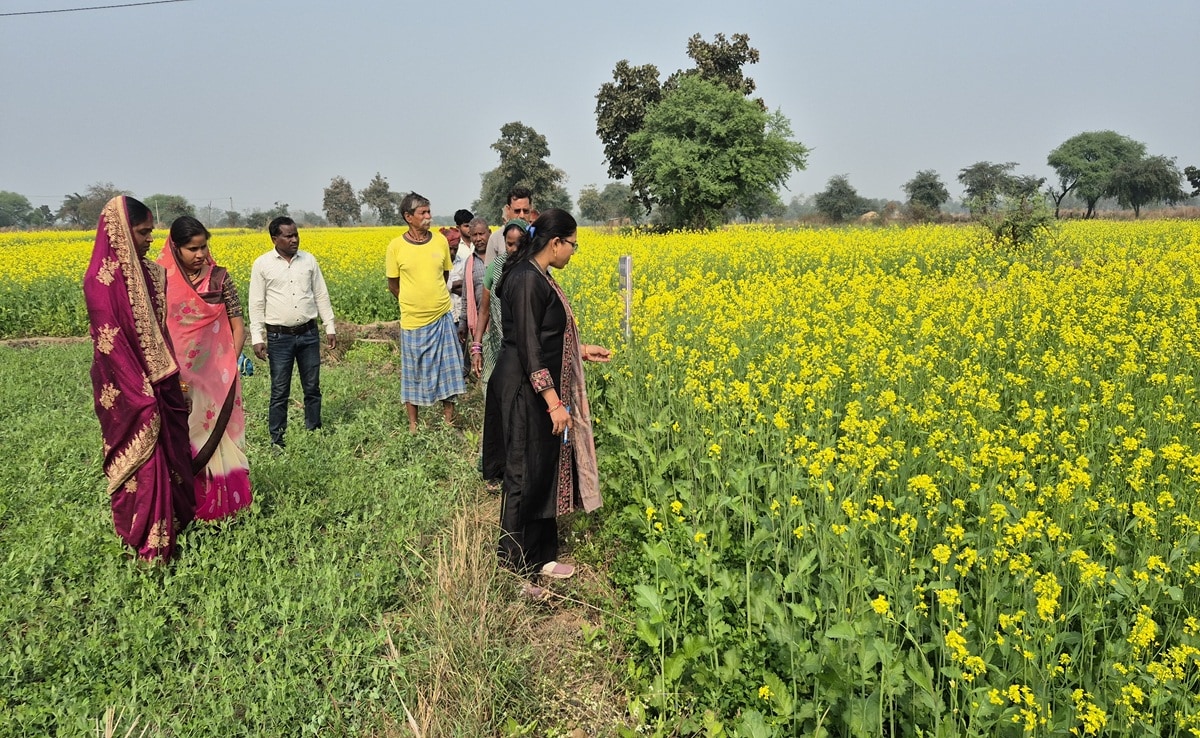 Success Story: सरसों के खेत में किसान व अधिकारी