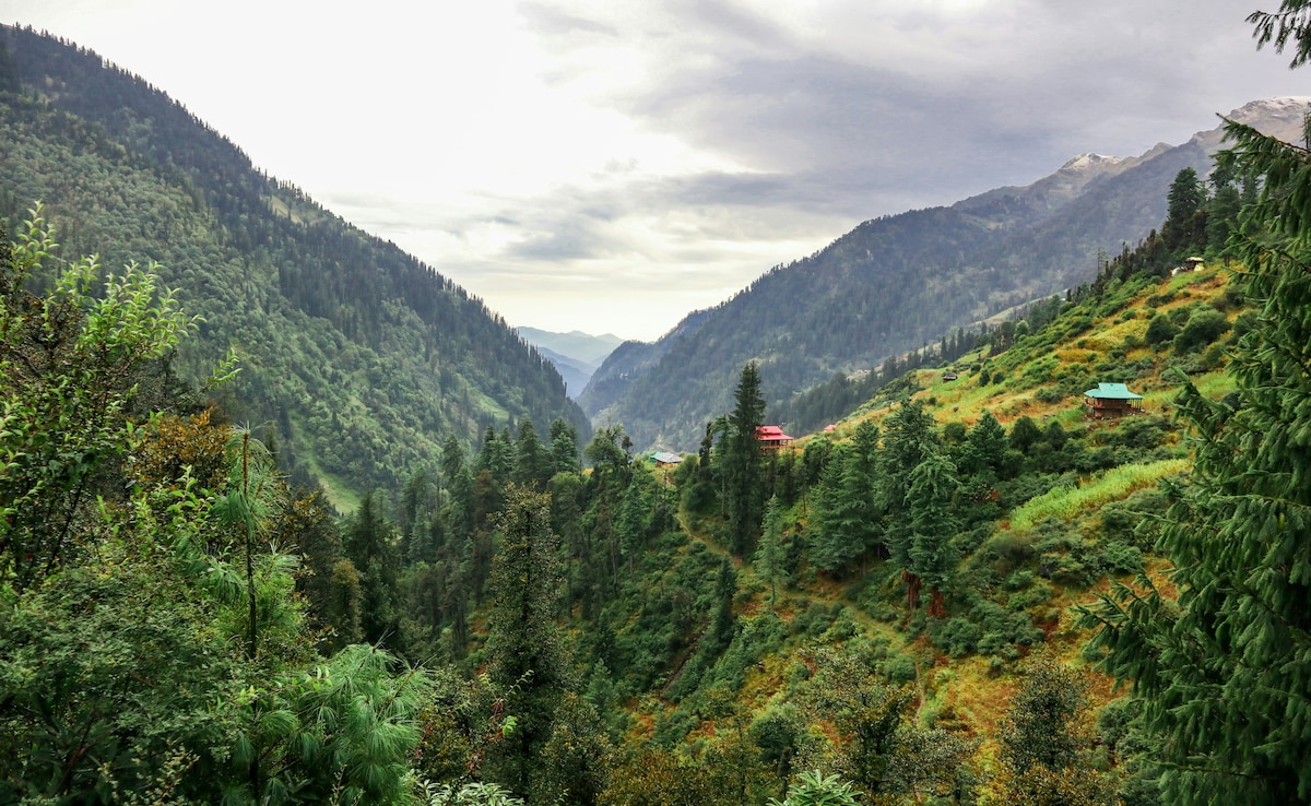 Latest and Breaking News on NDTV