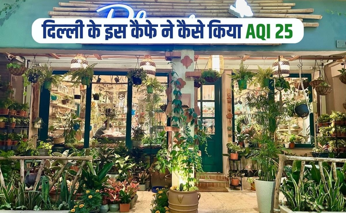 द‍िल्‍ली के इस कैफे ने कैसे क‍िया AQI 25, यह वायरल तरीका हर घर में होना चाह‍िए लागू