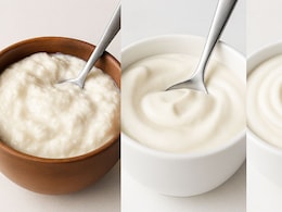 Curd vs Greek Yoghurt vs Skyr: Which One Has More Protein