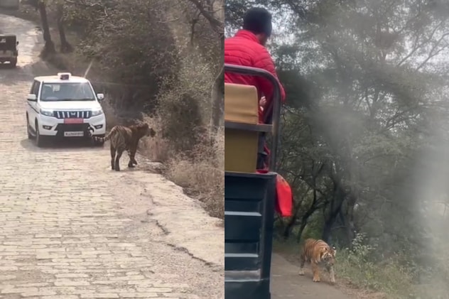 Latest and Breaking News on NDTV