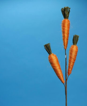 Benefits Of Eating Carrot During Winters