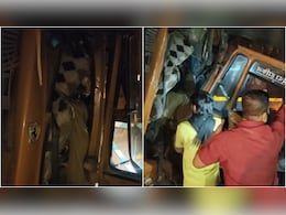 धार में दर्दनाक हादसा: खराब ट्रक में घुसा मिनी ट्रक, दो घंटे केबिन में फंसा रहा चालक, तड़प-तड़प कर मौत, क्लीनर घायल