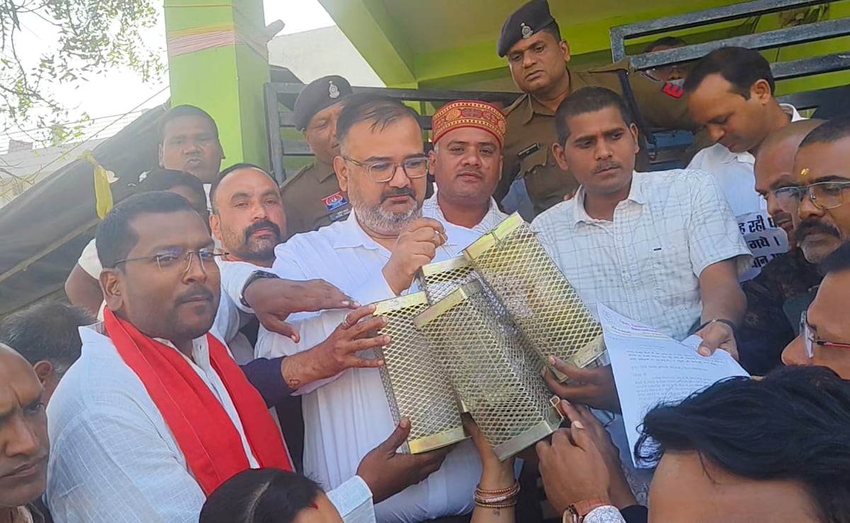 Rats Behind Rs 8-Crore Chhattisgarh Heist? 26,000 Quintals Of Paddy Missing