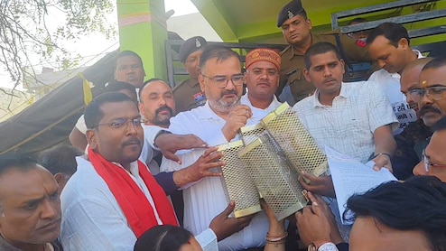 Rats Behind Rs 8-Crore Chhattisgarh Heist? 26,000 Quintals Of Paddy Missing