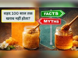 मिथ्स और फैक्ट्स: क्या शहद कभी खराब नहीं होता? जानिए 100 साल तक चलने के दावों के पीछे की सच्चाई