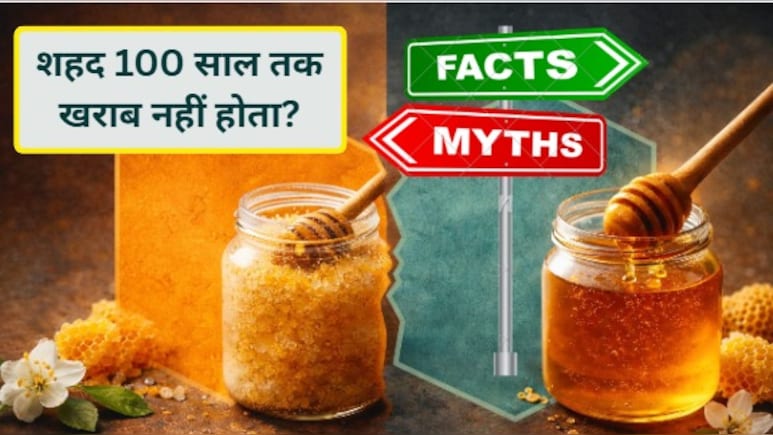 मिथ्स और फैक्ट्स: क्या शहद कभी खराब नहीं होता? जानिए 100 साल तक चलने के दावों के पीछे की सच्चाई