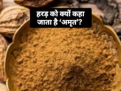 आयुर्वेद में हरड़ को क्यों कहा जाता है अमृत? यहां जानिए इसके चमत्कारी फायदे
