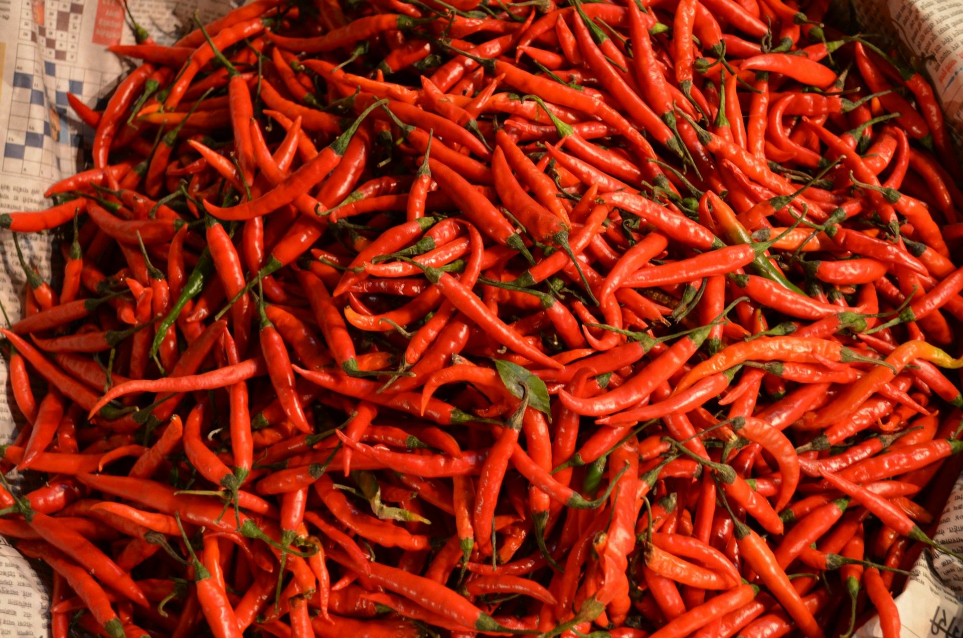 From Bhut Jolokia To Guntur: A Guide To India's Most Iconic Chillies