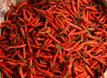 From Bhut Jolokia To Guntur: A Guide To India's Most Iconic Chillies