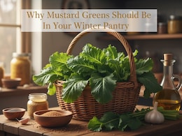 Why Mustard Greens Should Be In Your Winter Pantry: Nutrition & Easy Recipes