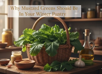 Why Mustard Greens Should Be In Your Winter Pantry: Nutrition & Easy Recipes