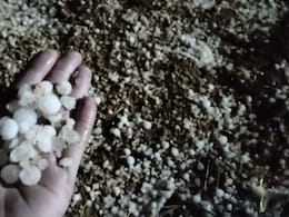 Rajasthan Weather: राजस्थान में बसंत पंचमी पर बेमौसम बरसात, जयपुर में आंधी तो सीकर में गिरे ओले, 14 जिलों में जारी ऑरेंज अलर्ट