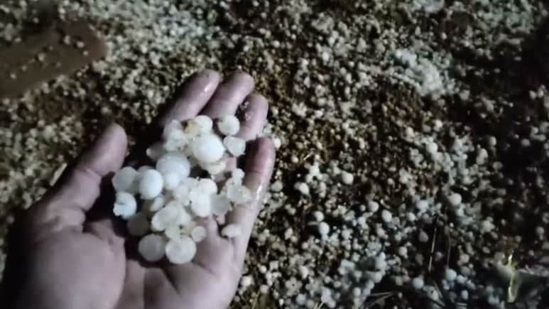 Rajasthan Weather: राजस्थान में बसंत पंचमी पर बेमौसम बरसात, जयपुर में आंधी तो सीकर में गिरे ओले, 14 जिलों में जारी ऑरेंज अलर्ट