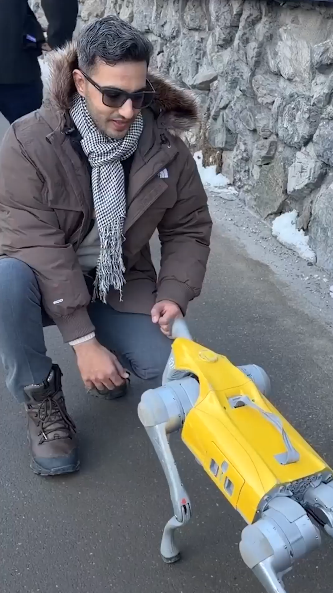 Meet Daisy, DHL's Robo-Dog, Roaming The Streets Of Davos | World Economic Forum 2026