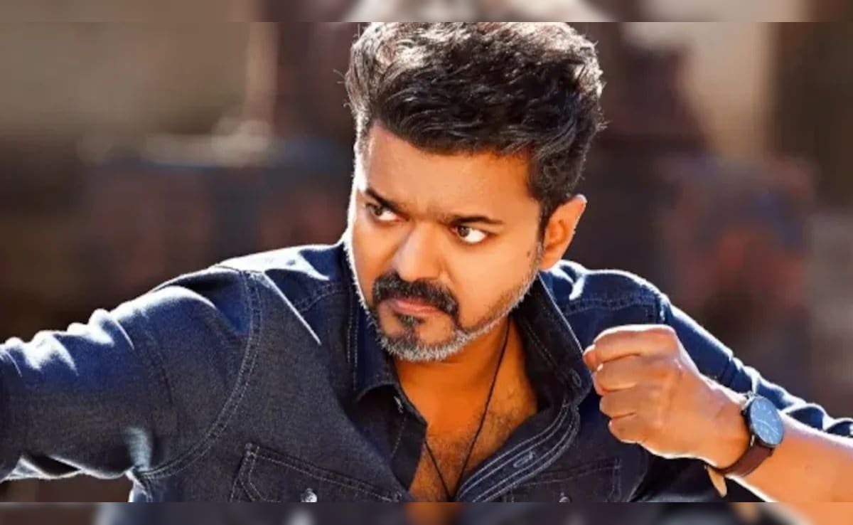 Jana Nayagan Delayed, Tamil Nadu Theatres Screen Old Vijay Films For Fans On Pongal