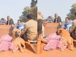 Dog Refuses To Leave Owner's Side, Chases Vehicle Carrying Body For 4 km