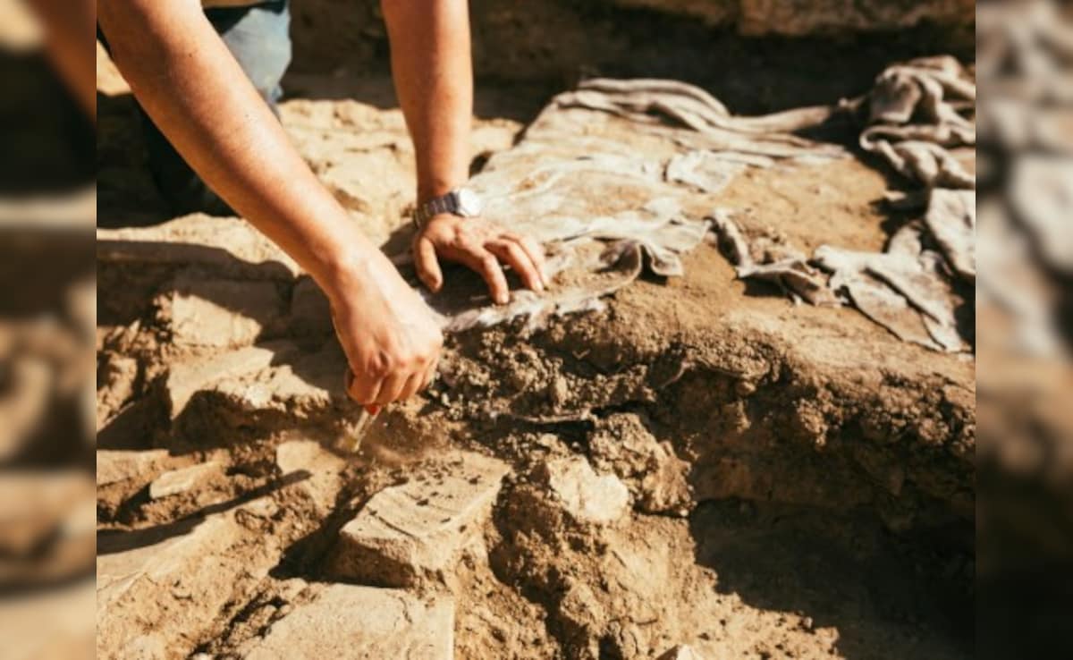 Latest and Breaking News on NDTV