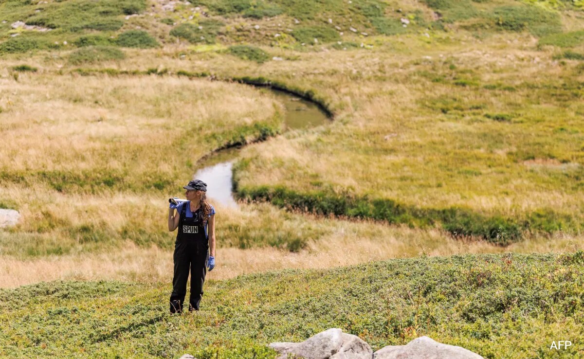 Biologist Wins 'Environment Nobel' for Fungal Research