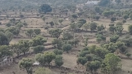 अरावली की पहाड़ियों में 2000 फीट की ऊंचाई पर बसा गांव, बिना पानी और बिजली के पीढ़ियों से रह रहे हैं ग्रामीण