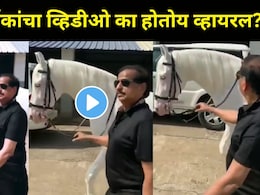 नवी मुंबईत टांगा पलटी अन् घोडे फरार, भाजपच्या बाजूने निकाल लागताच गणेश नाईकांचा घोडे सवारीचा व्हिडीओ व्हायरल