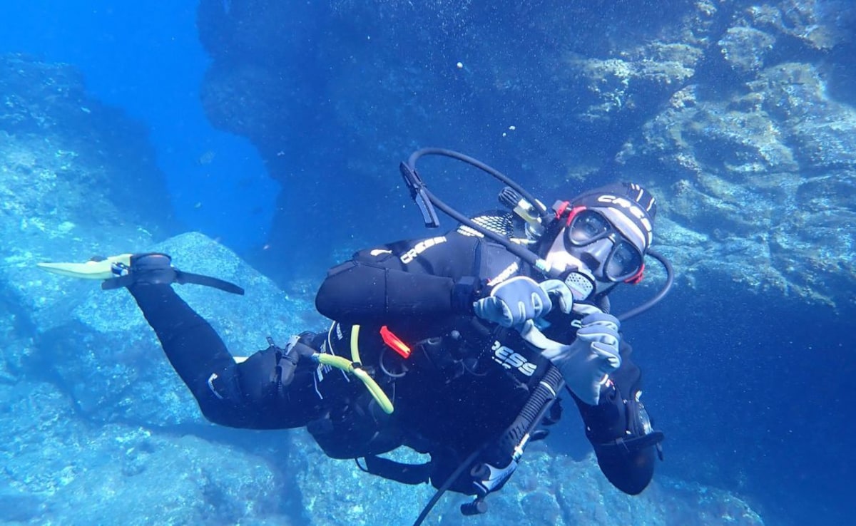 Latest and Breaking News on NDTV