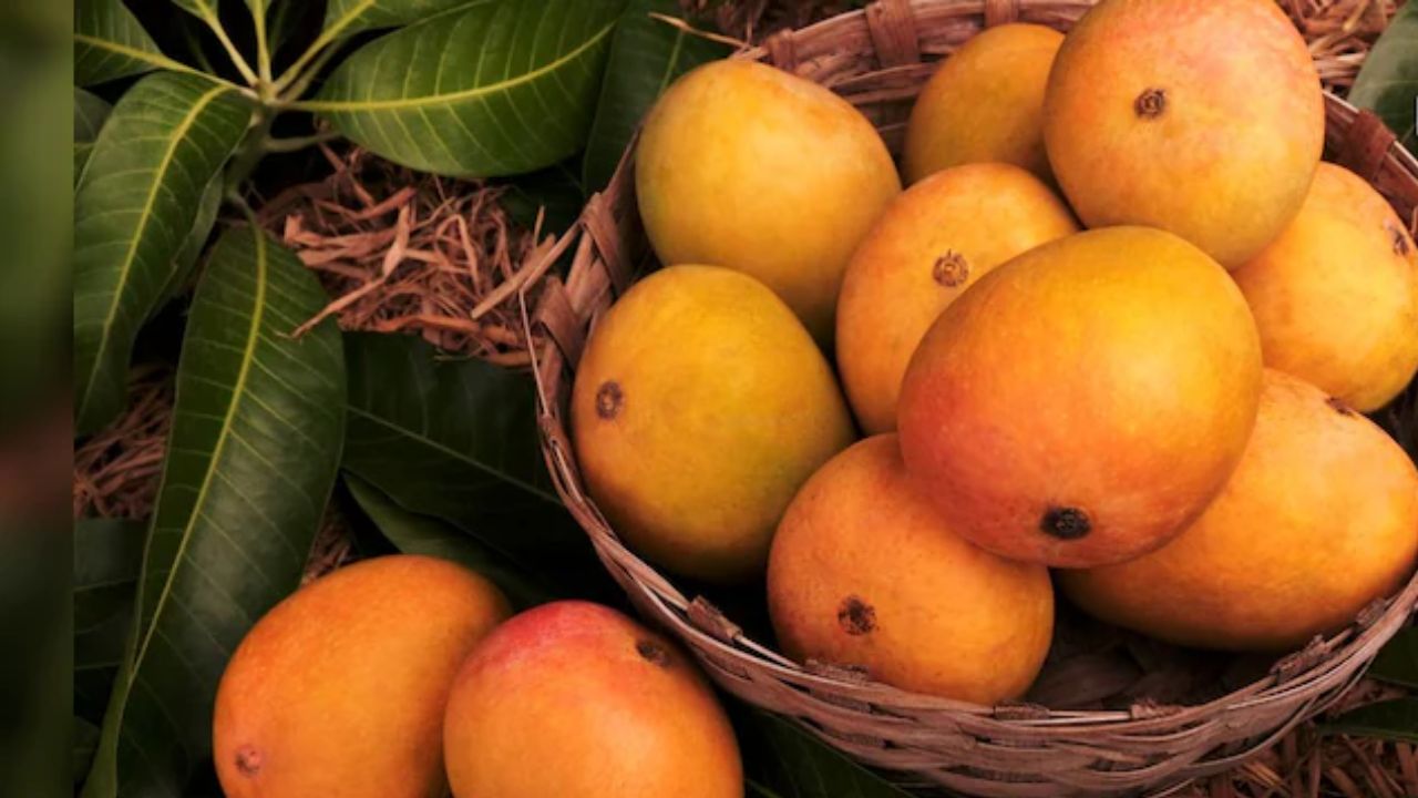 Latest and Breaking News on NDTV Latest and Breaking News on NDTV