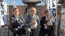 Meet Yontama, The New Cat Stationmaster In Japan's Kinokawa
