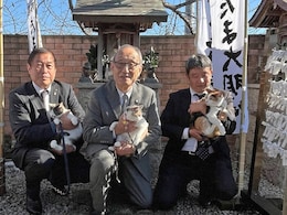 Meet Yontama, The New Cat Stationmaster In Japan's Kinokawa
