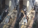 On Camera, Elderly Woman Bitten, Hair Pulled By Monkeys In Haryana On Camera, Elderly Woman Bitten, Hair Pulled By Monkeys In Haryana