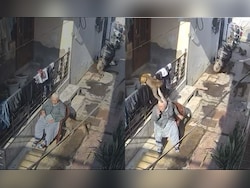 On Camera, Elderly Woman Bitten, Hair Pulled By Monkeys In Haryana