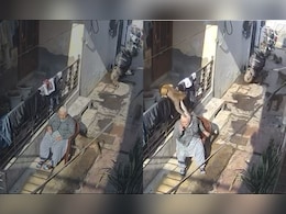 On Camera, Elderly Woman Bitten, Hair Pulled By Monkeys In Haryana