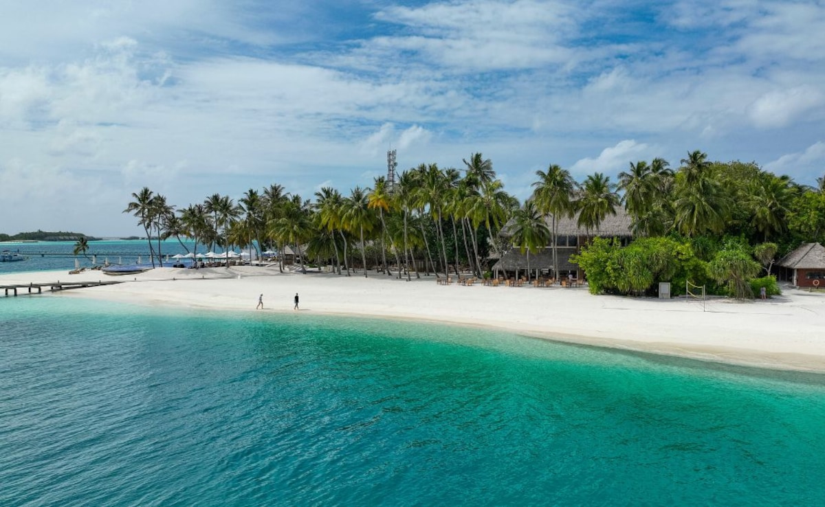 Latest and Breaking News on NDTV Latest and Breaking News on NDTV