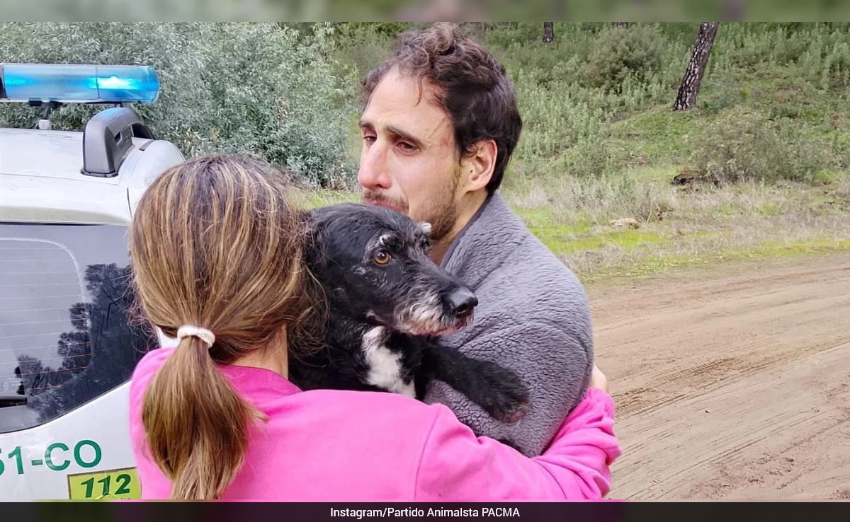 Dog Rescued After Spanish Train Crash