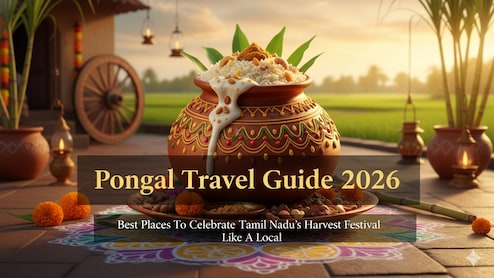 Pongal Travel Guide 2026: Best Places To Celebrate Tamil Nadu's Harvest Festival Like A Local