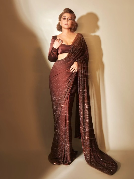 Hina Khan Serves Glam in a Metallic Brown Saree
