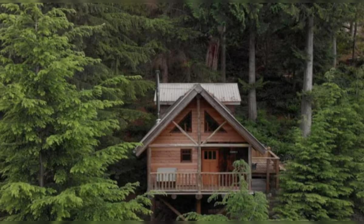 Latest and Breaking News on NDTV